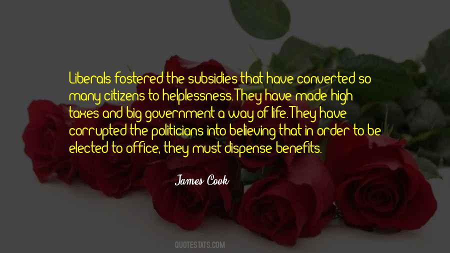 Quotes About Government Subsidies #155070