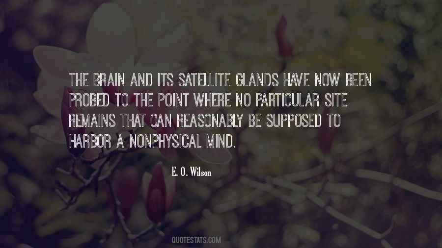 You Been On My Mind Quotes #40277