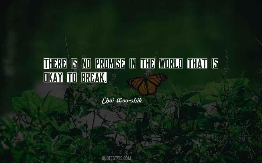 You Break Your Promise Quotes #125026