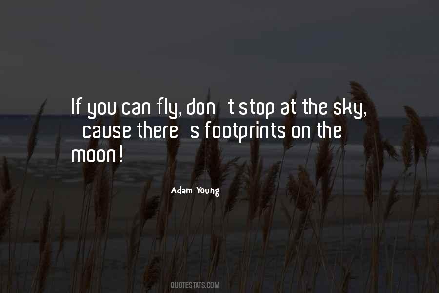 You Can Fly Quotes #584018