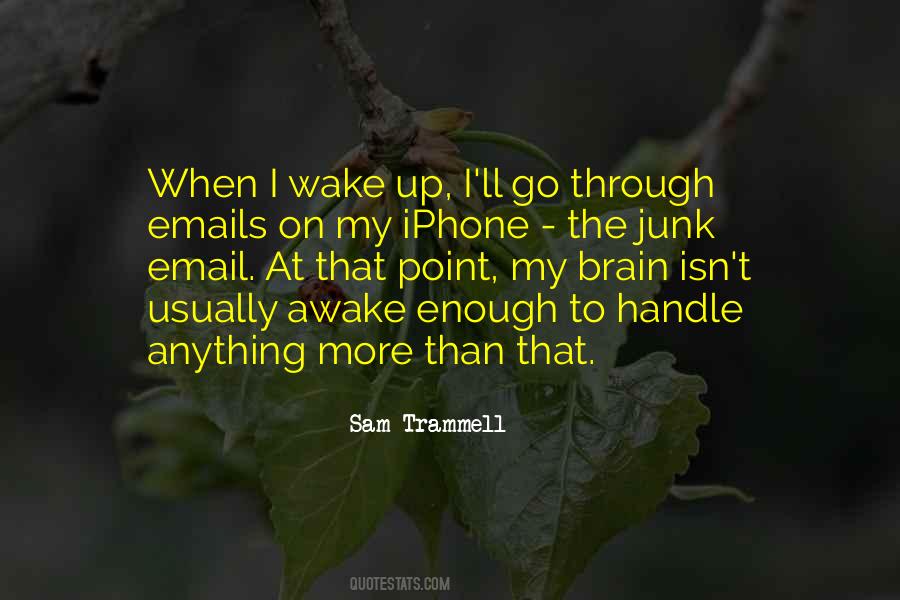 You Can Handle Anything Quotes #392281