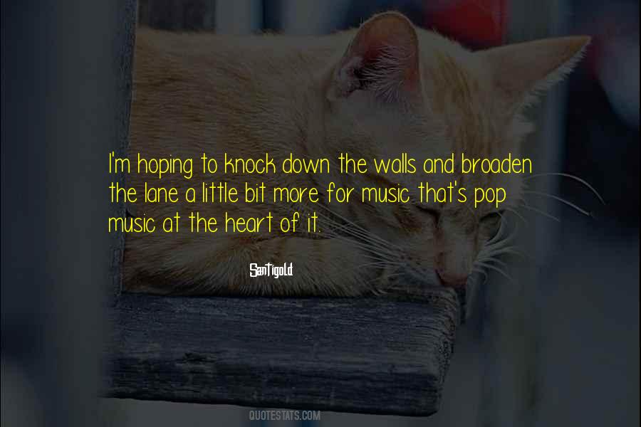 You Can Knock Me Down Quotes #18700