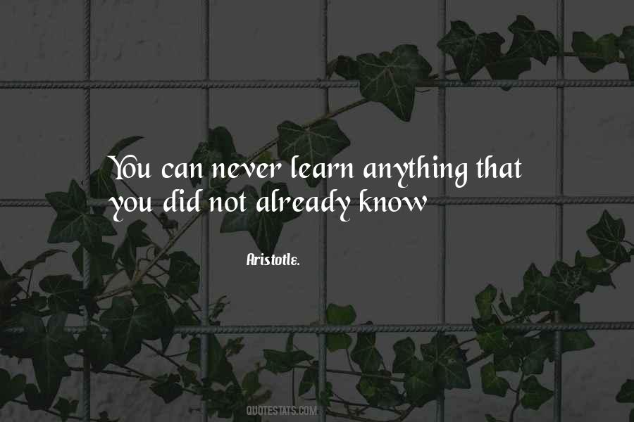 You Can Learn Anything Quotes #1168292