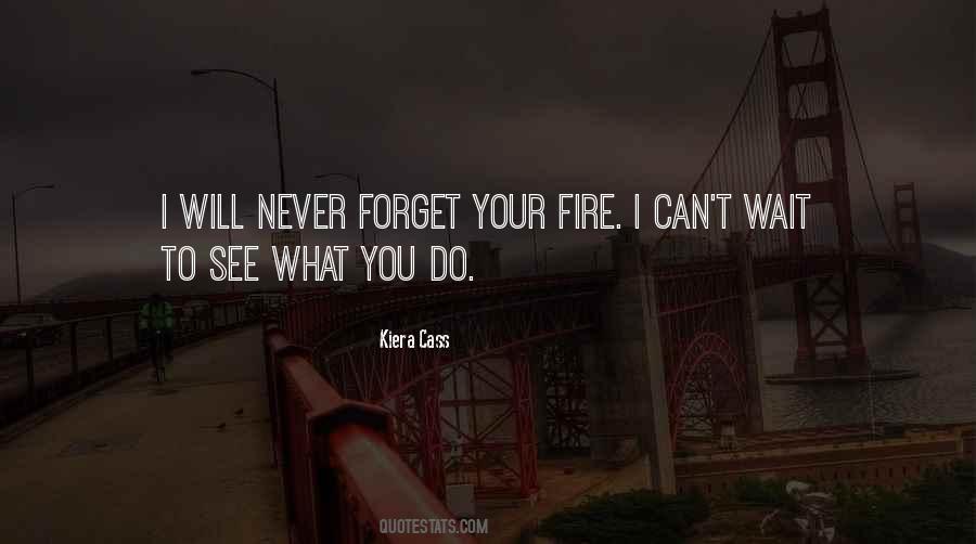 You Can Never Forget Quotes #1172987
