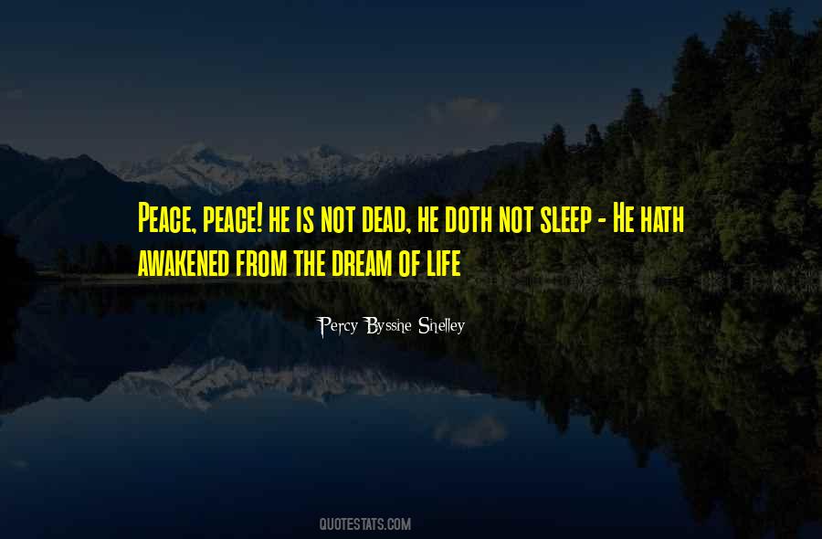 You Can Sleep When You're Dead Quotes #160105