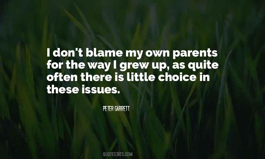 You Can't Blame Others Quotes #28784