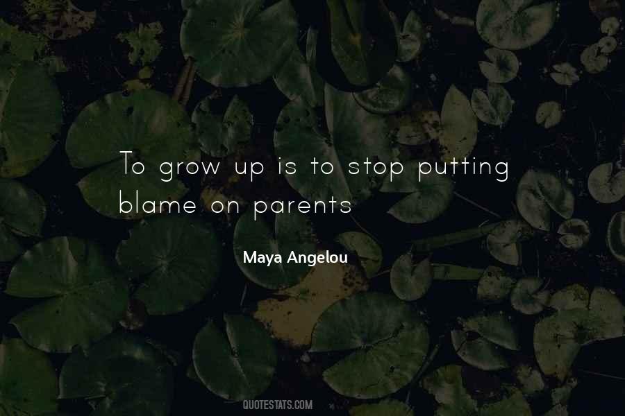 You Can't Blame Others Quotes #63362
