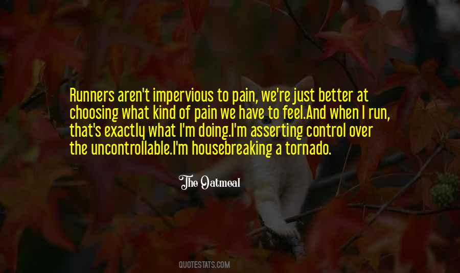 You Can't Control The Uncontrollable Quotes #1661806
