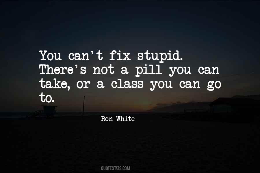 You Can't Fix Stupid Quotes #1490894