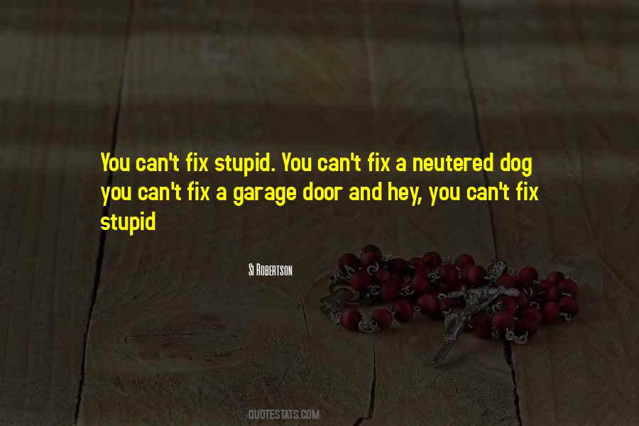 You Can't Fix Stupid Quotes #598115