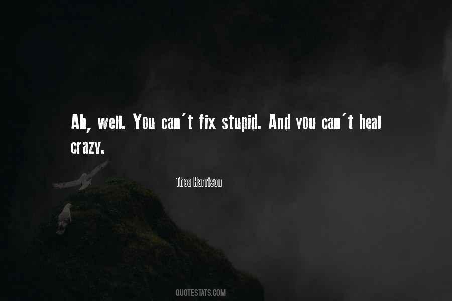 You Can't Fix Stupid Quotes #788604