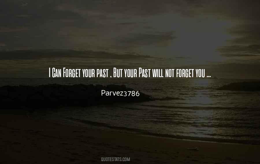 You Can't Forget Your Past Quotes #1311342