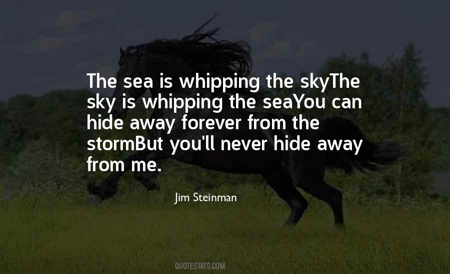 You Can't Hide From Me Quotes #1816058