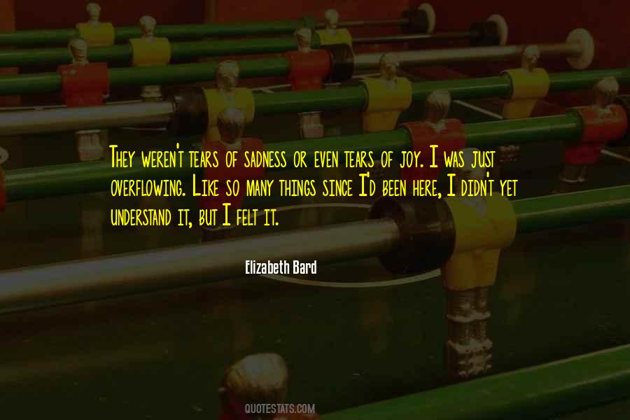 You Can't Understand My Feelings Quotes #331714