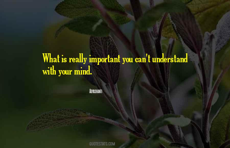 You Can't Understand Quotes #1171338