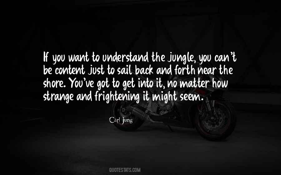 You Can't Understand Quotes #31749