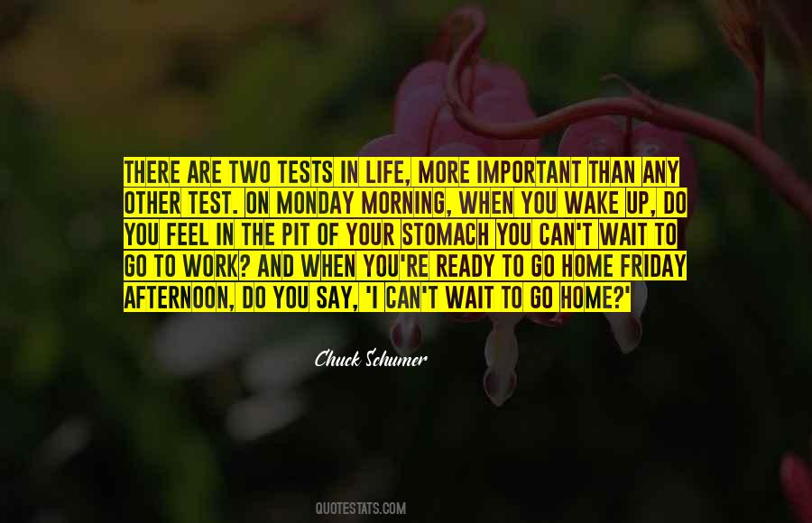 You Can't Wait Quotes #1761806