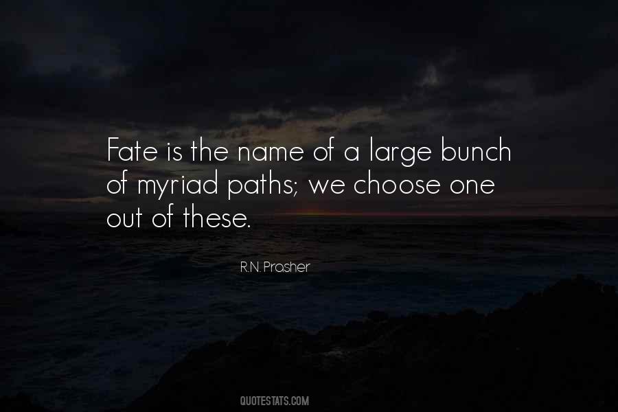 You Choose Your Own Fate Quotes #869208