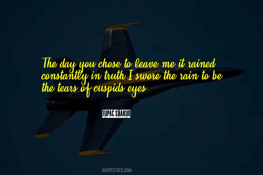 You Chose Quotes #1875655