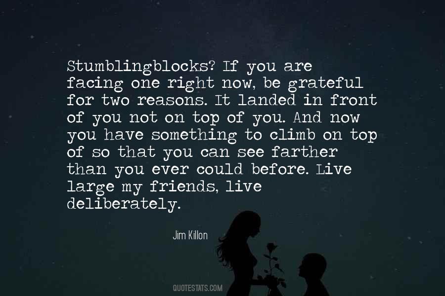 You Could Be My Quotes #40369