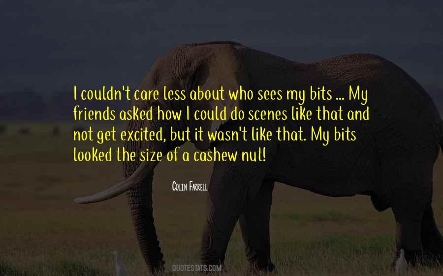 You Couldn't Care Less Quotes #496906
