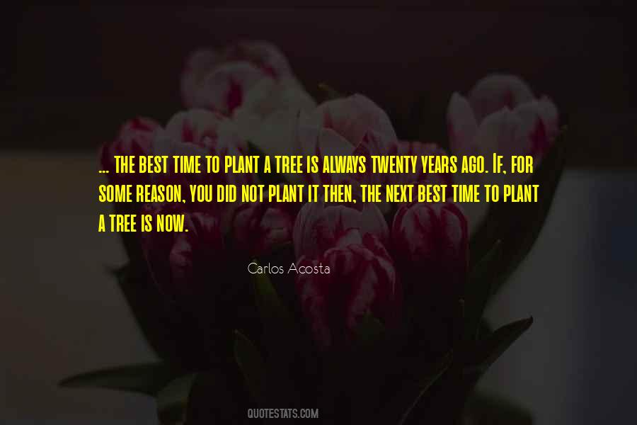 You Did It Inspirational Quotes #539333