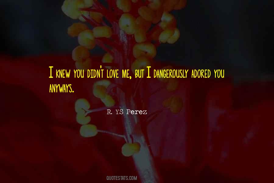 You Didn't Love Me Quotes #1562550