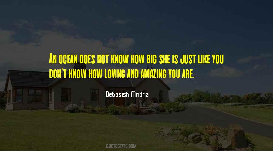 You Don Know How Amazing You Are Quotes #1702766