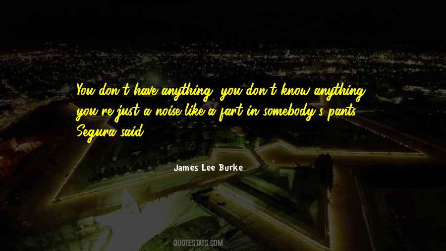You Don't Know Anything Quotes #1039943