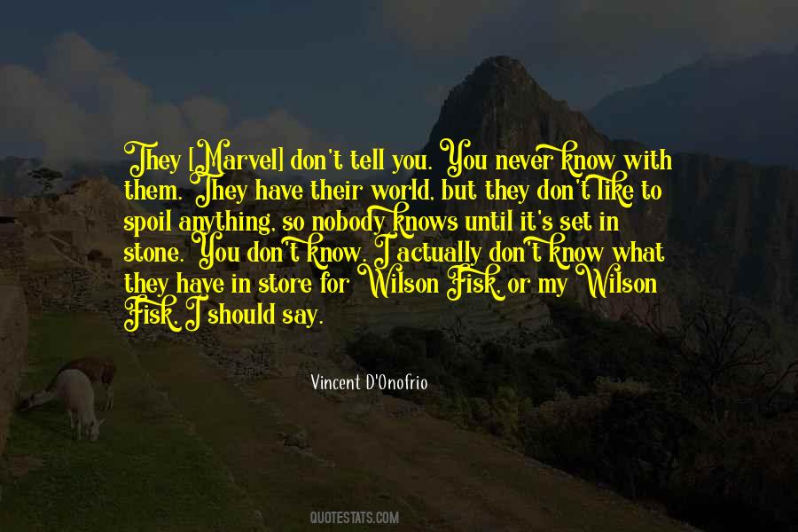 You Don't Know Anything Quotes #165007 You Don't Know Anything Quotes #165007