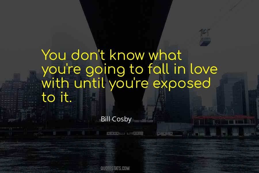 You Don't Know Love Quotes #79096