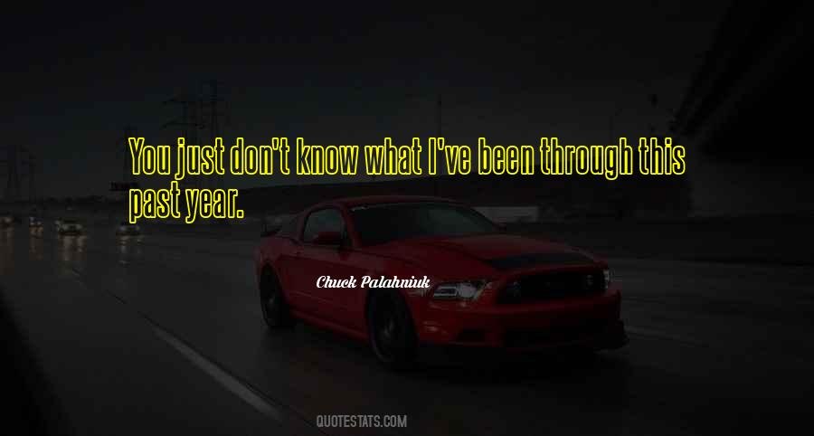 You Don't Know What I've Been Through Quotes #1302446