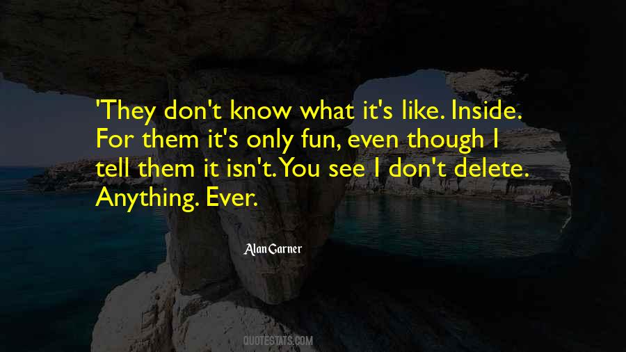You Don't Know What It's Like Quotes #385451