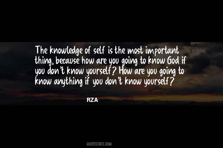 You Don't Know Yourself Quotes #1415837