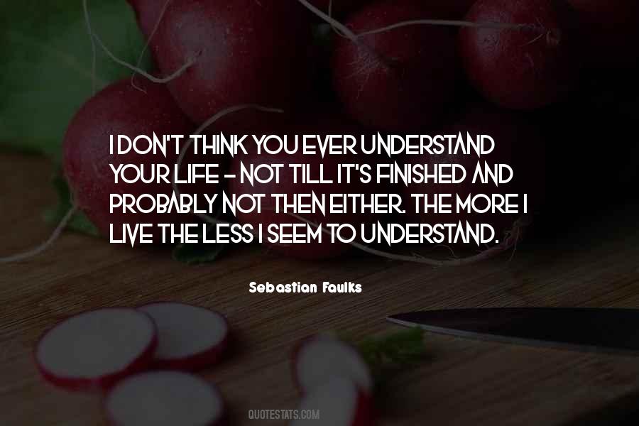 You Don't Understand My Life Quotes #387504