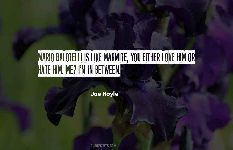 You Either Love It Or Hate It Quotes #584200