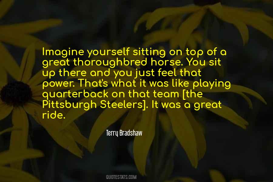 Quotes About Pittsburgh Steelers #8623