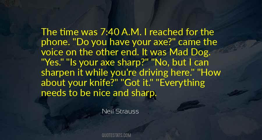 You Have A Nice Voice Quotes #1256957