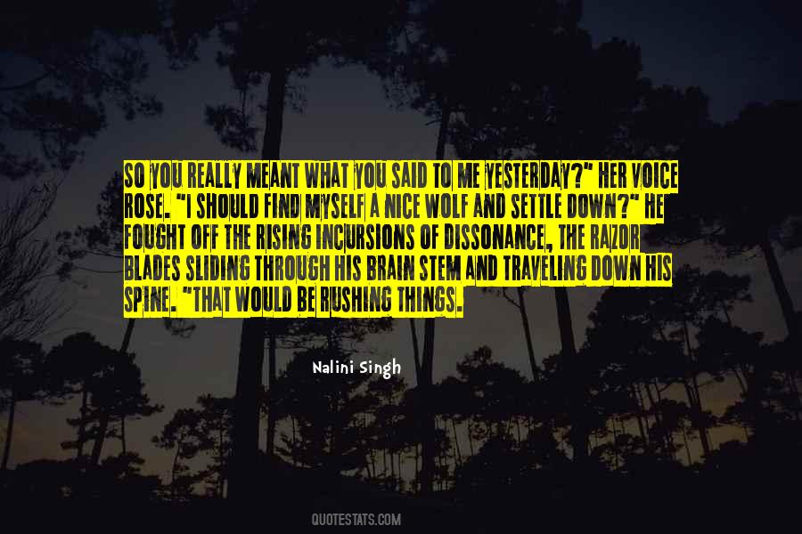 You Have A Nice Voice Quotes #695167