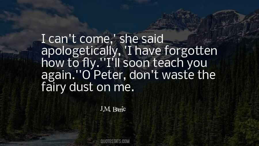 You Have Forgotten Me Quotes #873557