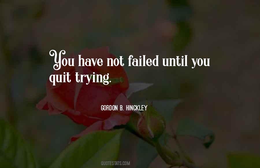 You Have Not Failed Quotes #508342