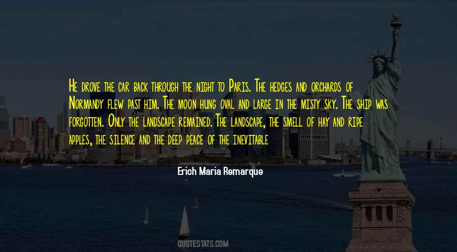 You Hung The Moon Quotes #169944