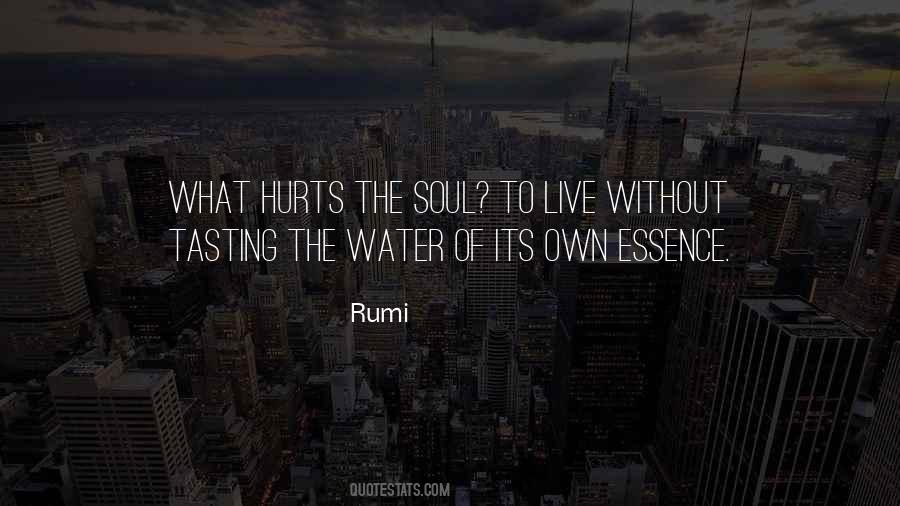 You Hurt My Soul Quotes #278080