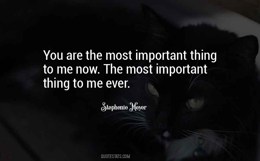 You Important To Me Quotes #266089