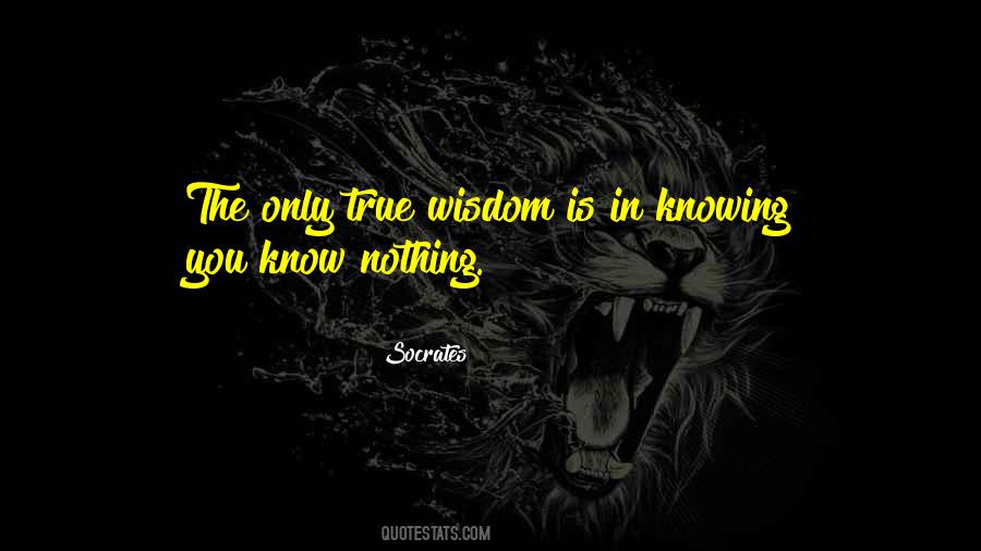 You Know Nothing Quotes #1604503