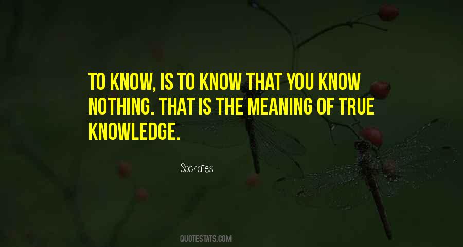 You Know Nothing Quotes #1858227