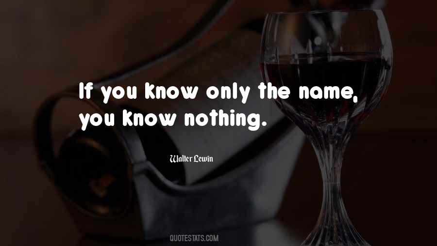 You Know Nothing Quotes #279990