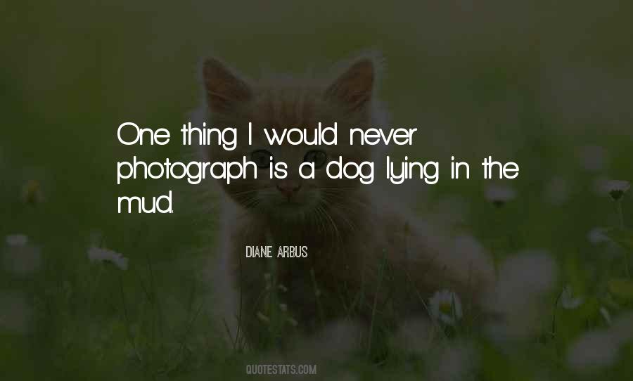Quotes About A Photograph #107489 Quotes About A Photograph #107489