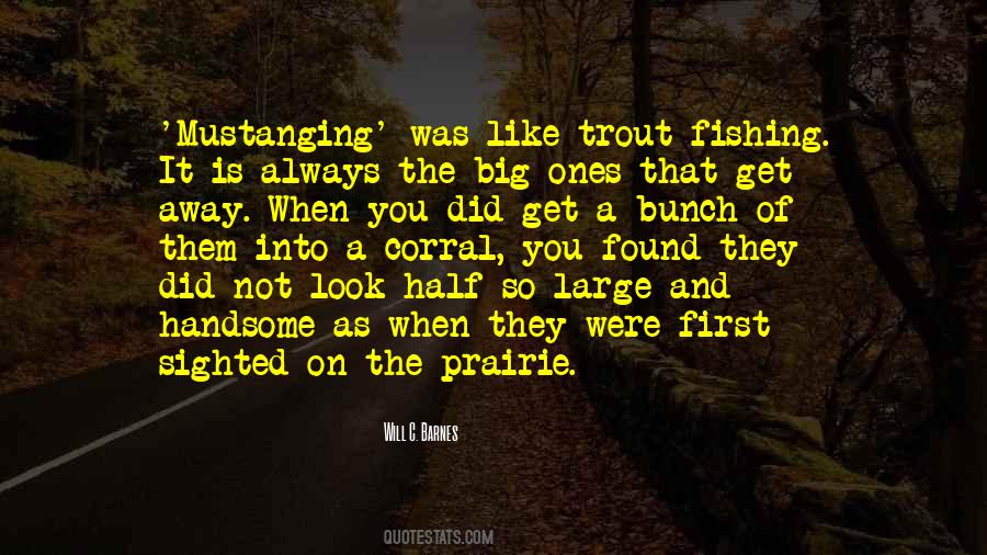 You Look Handsome Quotes #1188939