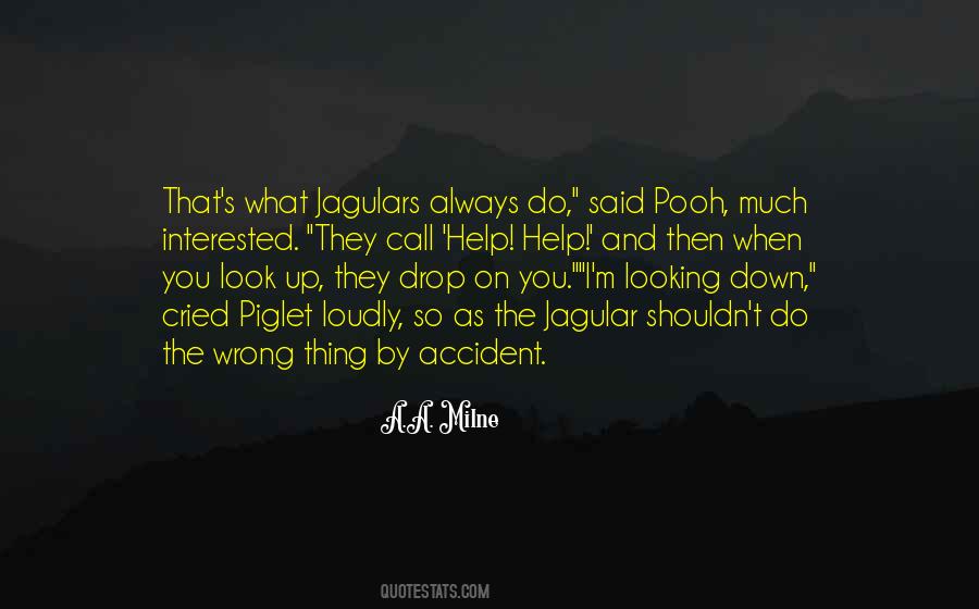 You Look Quotes #1720415